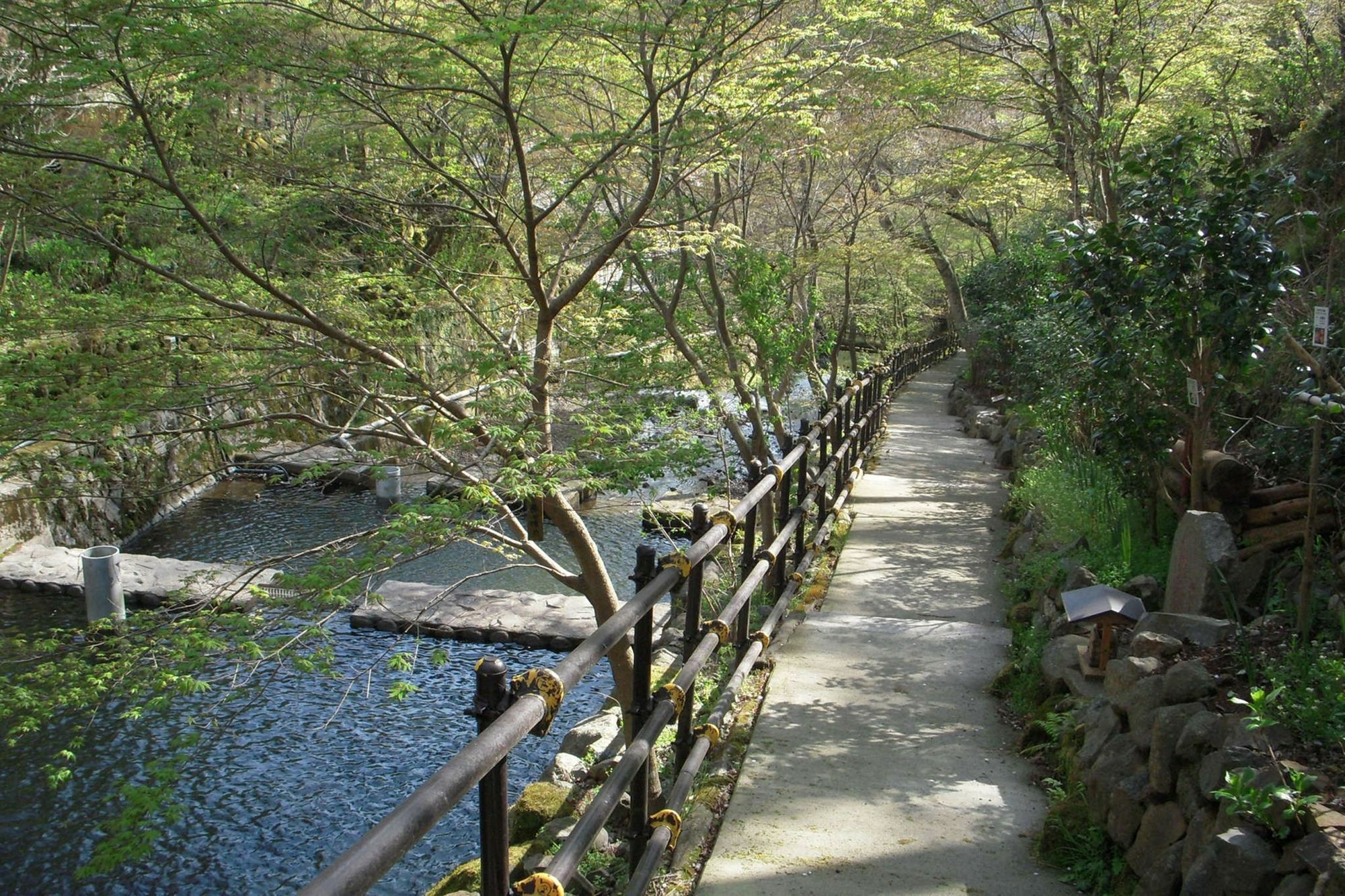 Oku Yugawara Tsubaki Hotel Bagian luar foto